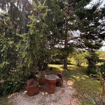 Villa Borovitsa * Borovitsa