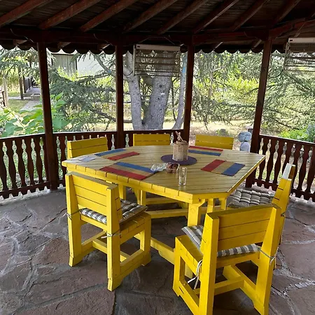 Villa Borovitsa 빌라 Borovitsa