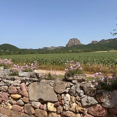 Villa Borovitsa 빌라