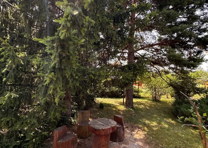 Villa Borovitsa * Borovitsa